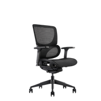 K22 Ergonomic Office Chair | Fast Track