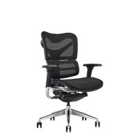 V46 Ergonomic Office Chair | Fast Track